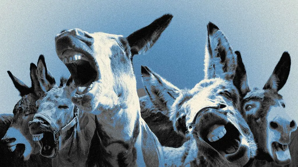 Dem leaders fume as insurgents wage costly civil war