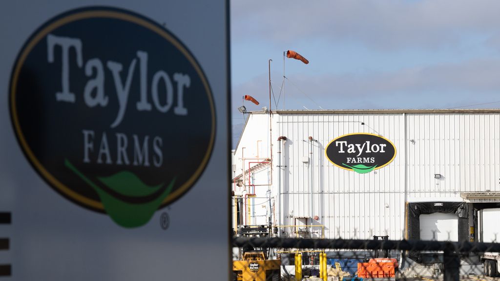 Salmonella outbreak casts spotlight on Taylor Farms